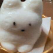 ヒメ日記 2025/04/08 11:23 投稿 ののか 人妻美人館