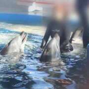 ヒメ日記 2025/06/28 13:26 投稿 ののか 人妻美人館