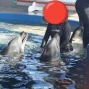 ヒメ日記 2025/08/04 10:11 投稿 ののか 人妻美人館