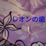 ヒメ日記 2026/07/07 13:02 投稿 ののか 人妻美人館