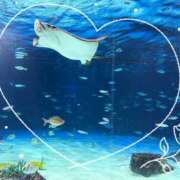 ている 水族館は避暑地でした😌💞 池袋あられ