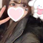 ヒメ日記 2025/12/05 21:08 投稿 ゆりか 秋葉原鑑賞ガール