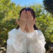 ヒメ日記 2025/11/16 12:05 投稿 小野寺　かのん スタイリッシュ秘書