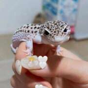 ヒメ日記 2025/11/23 08:05 投稿 りん 福岡飯塚田川ちゃんこ