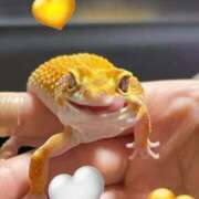 ヒメ日記 2025/11/25 23:15 投稿 りん 福岡飯塚田川ちゃんこ