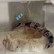 ヒメ日記 2025/11/28 07:35 投稿 りん 福岡飯塚田川ちゃんこ