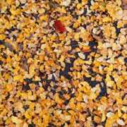 ヒメ日記 2025/11/28 15:05 投稿 りん 福岡飯塚田川ちゃんこ