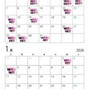 ヒメ日記 2025/12/22 22:22 投稿 遠野せいか AJ DOLLS(エージェイドールズ)