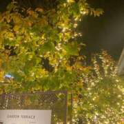 ヒメ日記 2025/11/22 20:57 投稿 ほたる あとりえ(ATELIER)