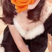 ヒメ日記 2025/12/21 22:14 投稿 ほたる あとりえ(ATELIER)