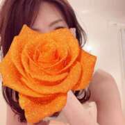 ヒメ日記 2026/01/25 10:11 投稿 ほたる あとりえ(ATELIER)