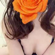 ヒメ日記 2026/01/31 12:03 投稿 ほたる あとりえ(ATELIER)