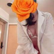 ヒメ日記 2026/04/17 22:53 投稿 ほたる あとりえ(ATELIER)