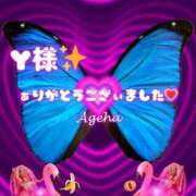 ヒメ日記 2025/11/18 00:31 投稿 あげは 若妻淫乱倶楽部