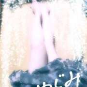 ヒメ日記 2025/04/06 07:04 投稿 めぐみ 人妻美人館