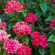 ヒメ日記 2025/07/28 19:23 投稿 めぐみ 人妻美人館