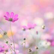 ヒメ日記 2025/09/02 20:39 投稿 めぐみ 人妻美人館