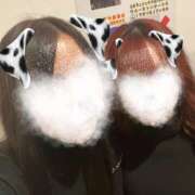 ヒメ日記 2025/11/17 20:22 投稿 なみ mu-mii神田店（ムーミー神田店）