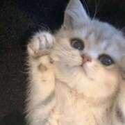 ヒメ日記 2025/12/02 19:34 投稿 りこ　お淑やかでおっとり美少女 AROMA FACE NAKASU