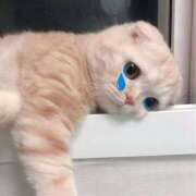 ヒメ日記 2025/12/24 18:10 投稿 りこ　お淑やかでおっとり美少女 AROMA FACE NAKASU