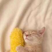 ヒメ日記 2026/01/08 19:52 投稿 りこ　お淑やかでおっとり美少女 AROMA FACE NAKASU