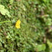 ヒメ日記 2025/11/20 23:30 投稿 石川 ミセスの手ほどき