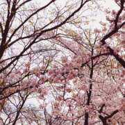 ヒメ日記 2026/04/01 20:17 投稿 石川 ミセスの手ほどき