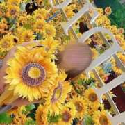 ヒメ日記 2026/03/27 11:26 投稿 ゆづき 道玄坂クリスタル