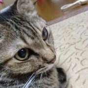 ヒメ日記 2025/03/19 02:18 投稿 ゆき 人妻美人館