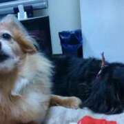 ヒメ日記 2025/04/05 14:51 投稿 ゆき 人妻美人館