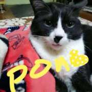 ヒメ日記 2025/04/17 17:14 投稿 ゆき 人妻美人館