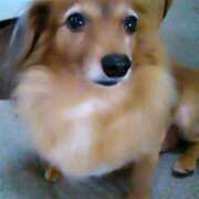 ヒメ日記 2025/05/11 16:11 投稿 ゆき 人妻美人館