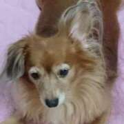 ヒメ日記 2025/05/18 03:36 投稿 ゆき 人妻美人館