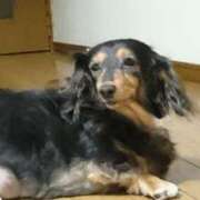 ヒメ日記 2025/05/27 14:12 投稿 ゆき 人妻美人館