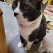 ヒメ日記 2025/05/31 02:12 投稿 ゆき 人妻美人館