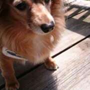 ヒメ日記 2025/06/01 02:14 投稿 ゆき 人妻美人館