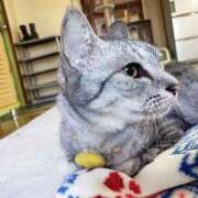 ヒメ日記 2025/06/06 02:39 投稿 ゆき 人妻美人館