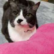 ヒメ日記 2025/06/10 02:14 投稿 ゆき 人妻美人館