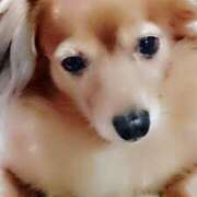 ヒメ日記 2025/06/16 02:10 投稿 ゆき 人妻美人館