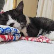 ヒメ日記 2025/06/17 02:14 投稿 ゆき 人妻美人館