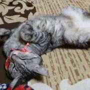 ヒメ日記 2025/06/23 03:14 投稿 ゆき 人妻美人館