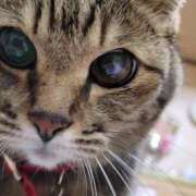 ヒメ日記 2025/06/28 04:20 投稿 ゆき 人妻美人館