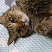 ヒメ日記 2025/07/05 03:04 投稿 ゆき 人妻美人館