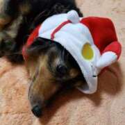 ヒメ日記 2025/07/06 02:11 投稿 ゆき 人妻美人館