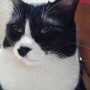 ヒメ日記 2025/07/13 02:14 投稿 ゆき 人妻美人館