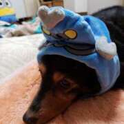 ヒメ日記 2025/07/18 02:08 投稿 ゆき 人妻美人館