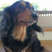 ヒメ日記 2025/07/26 02:09 投稿 ゆき 人妻美人館