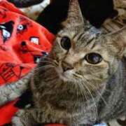 ヒメ日記 2025/07/31 02:17 投稿 ゆき 人妻美人館