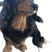 ヒメ日記 2025/08/16 03:00 投稿 ゆき 人妻美人館