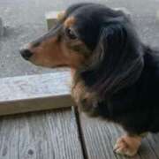 ヒメ日記 2025/08/16 03:08 投稿 ゆき 人妻美人館